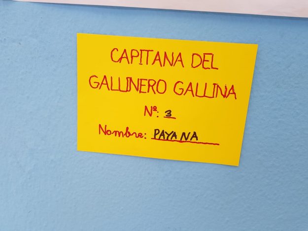 PHOTO-2019-05-30-12-06-52