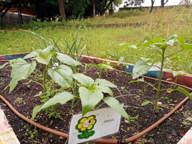 PHOTO-2020-04-22-20-59-34