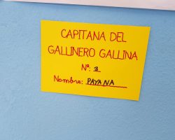 PHOTO-2019-05-30-12-06-52