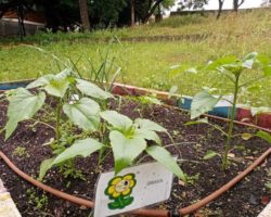 PHOTO-2020-04-22-20-59-34